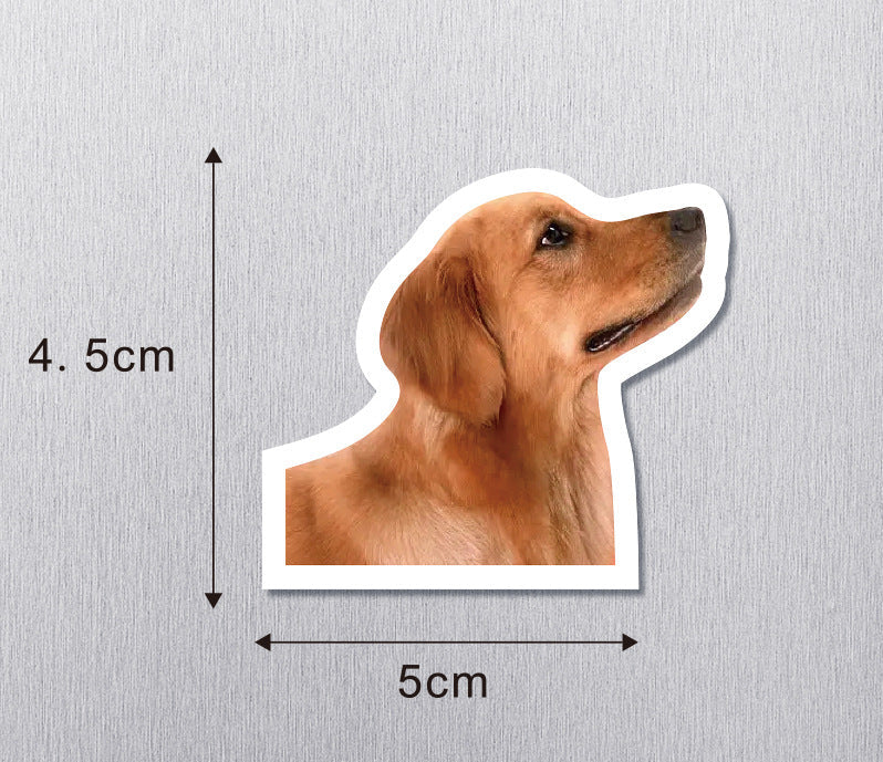 Wholesale 50pcs Magnetic refrigerator magnets cute pet magnetic stickers special-shaped decoration